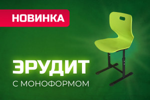 Новинка! Стул "«Эрудит» с Моноформом!